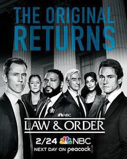 法律與秩序 第二十一季(Law & Order Season 21)