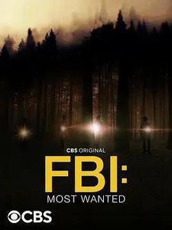 聯邦調查局：通緝要犯 第四季(FBI: Most Wanted Season 4)