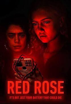 紅玫瑰(Red Rose)