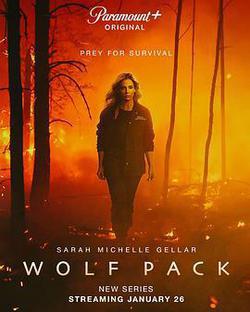 狼群(Wolf Pack)