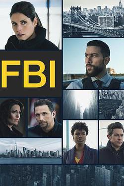 聯邦調查局 第六季(FBI Season 6)