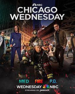 芝加哥急救 第十季(Chicago Med Season 10)