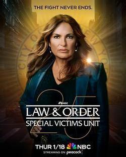 法律與秩序：特殊受害者 第二十五季(Law & Order: Special Victims Unit Season 25)