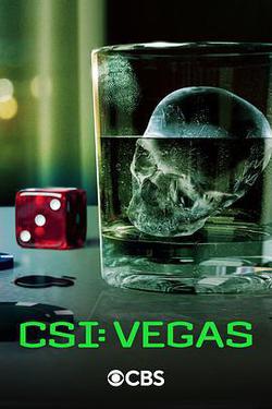 犯罪現場調查：維加斯 第三季(CSI: Vegas Season 3)