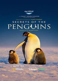 企鵝之謎(Secrets of the Penguins)