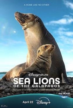 海獅利奧環島記(Sea Lions of the Galápagos)
