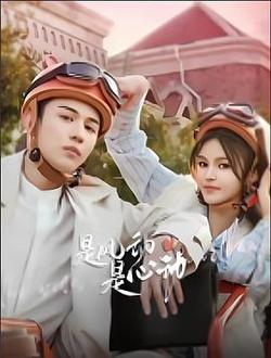 是風動、是心動