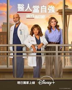 實習醫生格蕾 第二十二季(Grey's Anatomy Season 22)