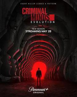 犯罪心理：演變 第十九季(Criminal Minds: Evolution Season 19)