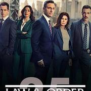 法律與秩序 第二十五季