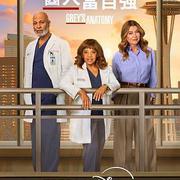 實習醫生格蕾 第二十二季