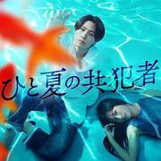 夏天的共犯