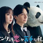 比熊貓更不擅長戀愛的我們